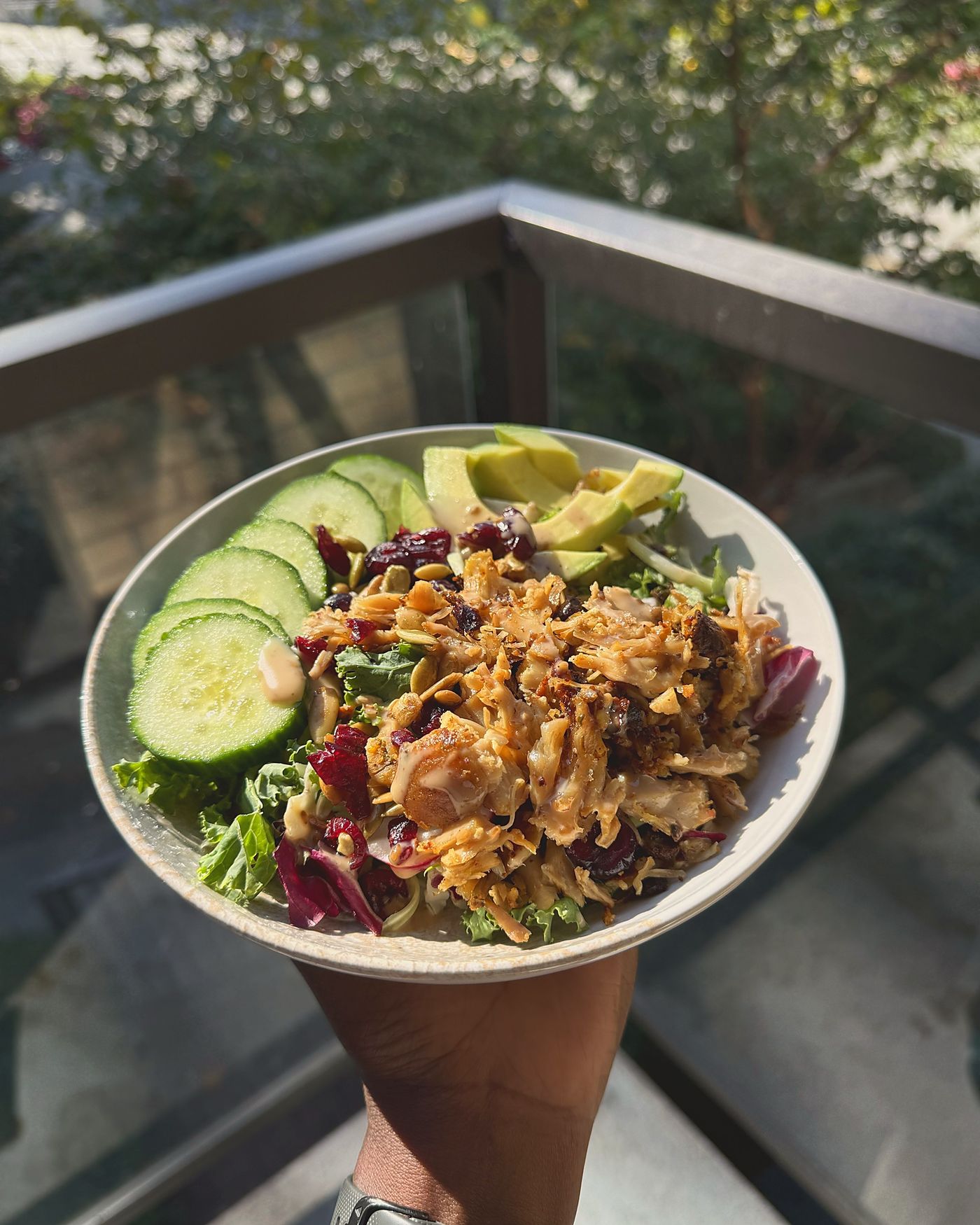 A lunch bowl of shredded chicken, leaves, cucumber, avocado, seeds and cranberries